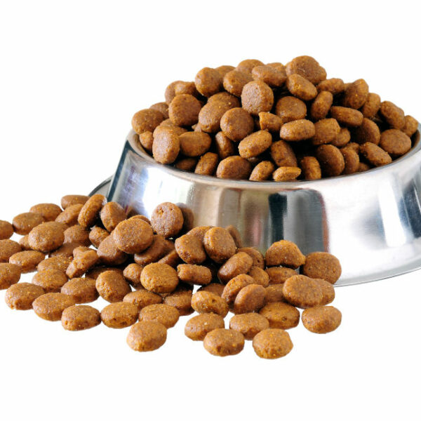 SAARBOX MIX|Adult| Cat| 1kg